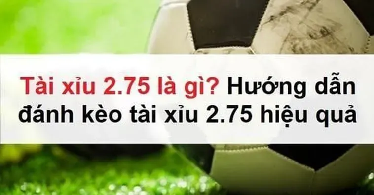 Bí Quyết Chơi Kèo 2.75: Tăng Tỷ Lệ Thắng Cược Bóng Đá 1 Bí Quyết Chơi Kèo 2.75: Tăng Tỷ Lệ Thắng Cược Bóng Đá